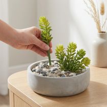 Artikel Sukkulente Kunststoff-Kunstblume 15 cm für Innenraumgestaltung 6er-Set