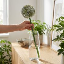 Artikel Hochwertiger künstlicher Blütenzweig Allium in Weiß, naturgetreue Optik, 90 cm