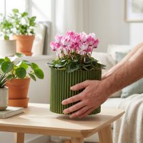 Artikel Übertopf Papier Dunkelgrün Blumentopf Ø19cm H14cm 3 St für Geschenkartikelgeschäfte