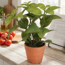 Artikel Künstlicher Basilikum im Topf pflegeleichte Deko Kräutertopf Kunstpflanze 22cm 2St