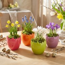 Artikel Mini Blumentopf Osterei Eier Vasen Pastell Frühling Deko 8,5cm 4 St