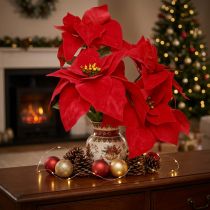 Artikel Festlicher Weihnachtsstern künstlich Rot 50cm Deko-Set 2tlg