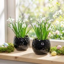 Artikel Blumentopf Keramik Ei Pflanztopf Schwarz Ø10cm H8cm 2 St