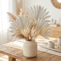 Artikel Palmspear Sun mini weißgewaschen 50 St