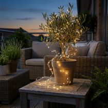 Artikel LED Lichterkette Drahtlichterkette Timer wetterfest warmweiß 180cm