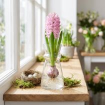 Artikel Glasvase Marakesh Transparent Ø7cm H13cm - Dekovase für Floristen