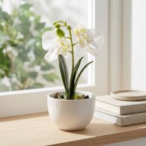 Artikel Mini Orchideen Künstlich Weiße Orchideen im Topf 15cm Pflegeleicht Dekoration