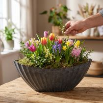 Artikel Pflanzschale oval Anthrazit 36cm mit Rillen - Maritim Stil, Dekoschale für Floristen, B2B-Angebot