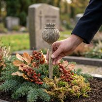 Artikel Kunststein Deko Mohnblume Antik Deko Braun Ø11cm 30cm