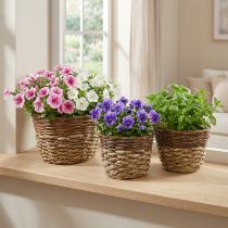 Artikel Naturkorb zum Bepflanzen, Korbdeko, Pflanzschalen Natur L21/19/16cm H21/19/16cm 3er-Set