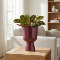 Artikel Pokal Blumentopf 23cm Rot Metall für stilvolle Dekoration
