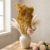 Artikel Hochwertiger Trockenblumenstrauß Dill 55cm für natürliche Dekoration
