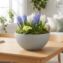 Artikel Grau Melierte Pflanzschale für Gartencenter und Home & Living
