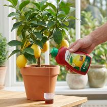 Artikel Chrysal Zitrusdünger Dünger Konzentrat 500ml