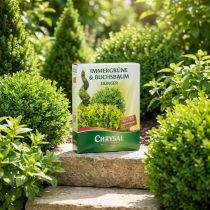 Artikel Chrysal Dünger Immergrüne & Buchsbaum Dünger 1kg