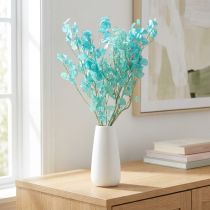 Artikel Silberblatt Mondviole Hellblau 65-70cm Trockenblumen Deko