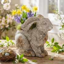 Artikel Beton Deko Hase Blumentopf Ostern Antik Grau Dekofigur Vintage Look