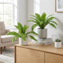 Artikel Nestfarn Künstliche Pflanzen Asplenium in Grün Dekoration 5,5×22cm 2St