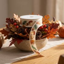 Artikel Dekoband Polyester mit Pilz- und Herbstmotiv 25mm x 18m beige