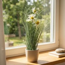 Artikel Gras mit Echinacea künstlich im Topf Weiß 56cm