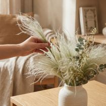 Artikel Trockenblumen Deko Federgras Trockengräser Natur 50g