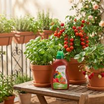 Artikel Chrysal Bio Dünger Gemüse & Obst Naschgarten 500ml
