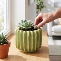 Artikel Keramik Blumentopf Kaktus Design 16cm Grün für exotische Dekoration