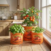 Artikel Tomaten Pflanztöpfe Set aus Keramik in 3 Größen – Dekorative Blumentöpfe für Kräuter und Trockenblumen