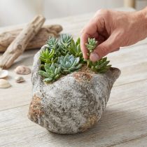 Artikel Blumentopf Muschel Stein Antikgrau Maritim Vintage Deko