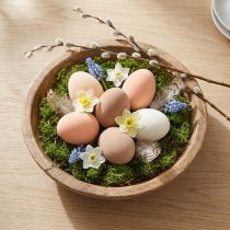 Artikel Ostereier Beflockt Pfirsich Braun Weiß 6cm 24er Set - Stilvolle Frühlingsdeko