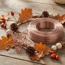 Artikel Aluminiumdraht Ø2mm Aludraht Basteldraht Hellbraun 500g 60m
