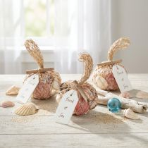 Artikel Maritime Deko Muscheln Mix im Netz Bunt 3,5-6cm 300g × 3St
