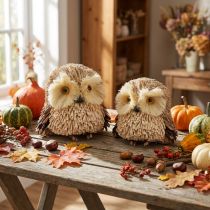 Artikel Eulen Deko Figuren Herbst mit Zapfen 12,5×10×10cm 2St