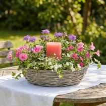 Artikel Weiden-Pflanzschale Weiß Natur Optik Deko-Ring für Kreative Gartengestaltung Ø35/30cm 2er-Set Vielseitig