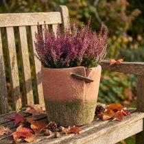Artikel Beton Blumentopf Übertopf Terracotta Topf Ø18cm H17cm