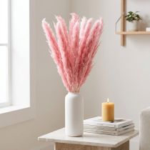 Artikel Trockengras Rosa Deko Riedgras Pampas 70cm 10 St