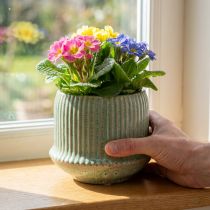 Artikel Blumentopf Keramik Übertopf mit Rillen Hellgrün Ø14,5cm H12,5cm