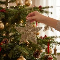 Artikel Christbaumschmuck, Adventsdeko, Stern-Anhänger Golden B25,5cm 4St