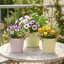 Artikel Eimer zum Bepflanzen, Übertopf mit Henkeln, Metalldeko Rosa/Grün/Gelb Shabby Chic Ø16,5cm H15cm 3er-Set
