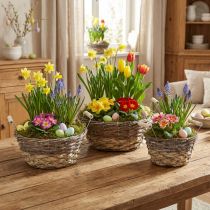 Artikel Pflanzkorb-Set Shabby Chic Weiß, Osterdeko Naturkorb mit Griffen Ø28/24/19cm, Dekokörbe gewaschen
