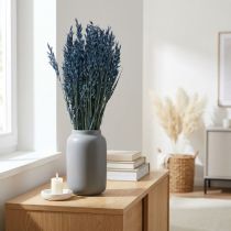 Artikel Trockenblumen, Hafer getrocknetes Getreide Deko Blau  68cm 230g