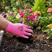 Artikel Kixx Gartenhandschuhe Gr.8 Rosa, Pink