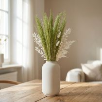 Artikel Straußgras Agrostis Capillaris Trockengräser Grün 65cm 80g