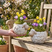 Artikel Keramik Schafe Pflanzgefäße im 2er Set Weiß Wasserdicht Deko für Garten und Wohnung