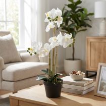 Artikel Künstliche Orchidee im Topf weiß 60cm – Langlebige Dekoration mit stilvoller Eleganz