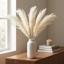 Artikel Asparagus Zierspargel Creme Trockengräser 90cm 5 St für Dekoration