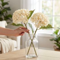 Artikel Deko Hortensien künstlich Creme Seidenblumen 34cm 2St – Elegante Raumdeko