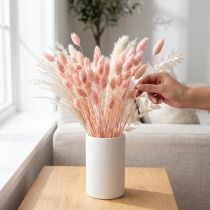 Artikel Phalaris Rosa Glanzgras getrocknet - Deko Trockengras 65cm