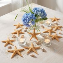 Artikel Seesterne Streudeko Home Deko, Natur, Starfish Mini 2-4cm 50St