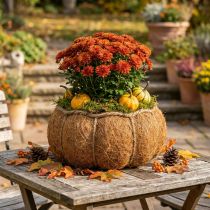 Artikel Pflanzkorb Kürbis Herbst Deko Orange Ø22cm H17cm